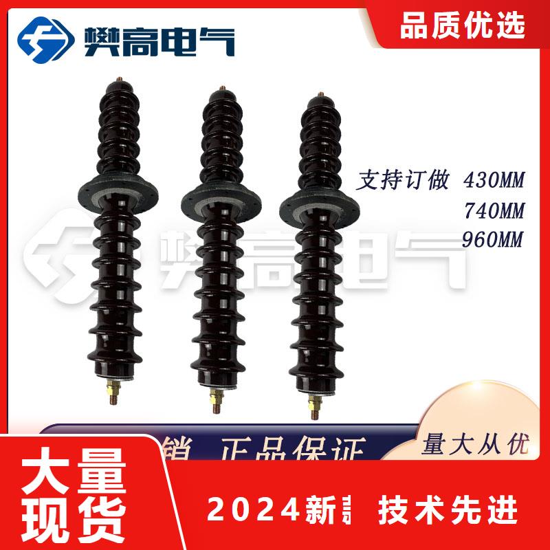 CWW-10/2500高压套管