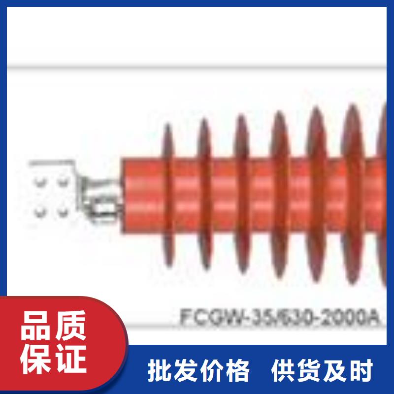 CWWB-20/1000A陶瓷套管临高县