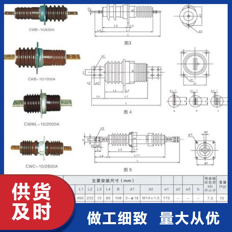 CWW-10/2500高压套管