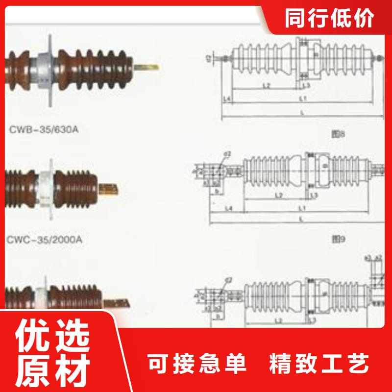 【穿墙套管真空断路器优选厂商】