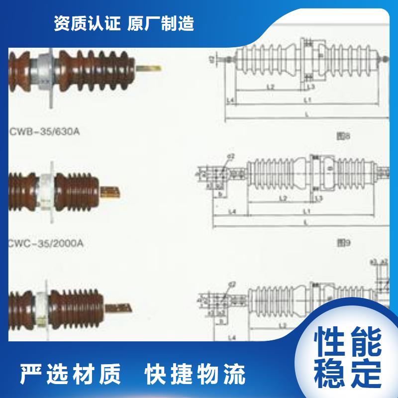 CWW-10/2500高压套管