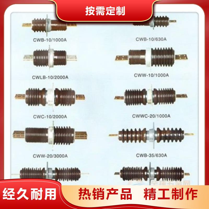 CWB-35/2500A高压套管