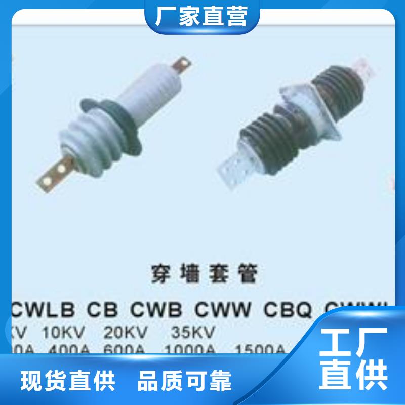 CWWB-10/3000A高压穿墙套管澄迈县