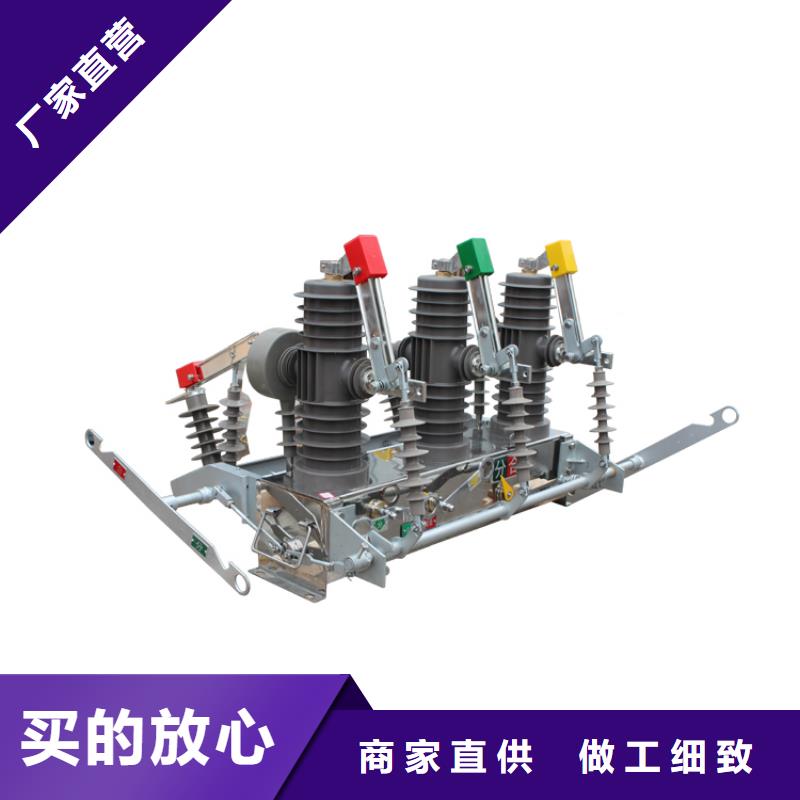 真空断路器-绝缘子现货批发