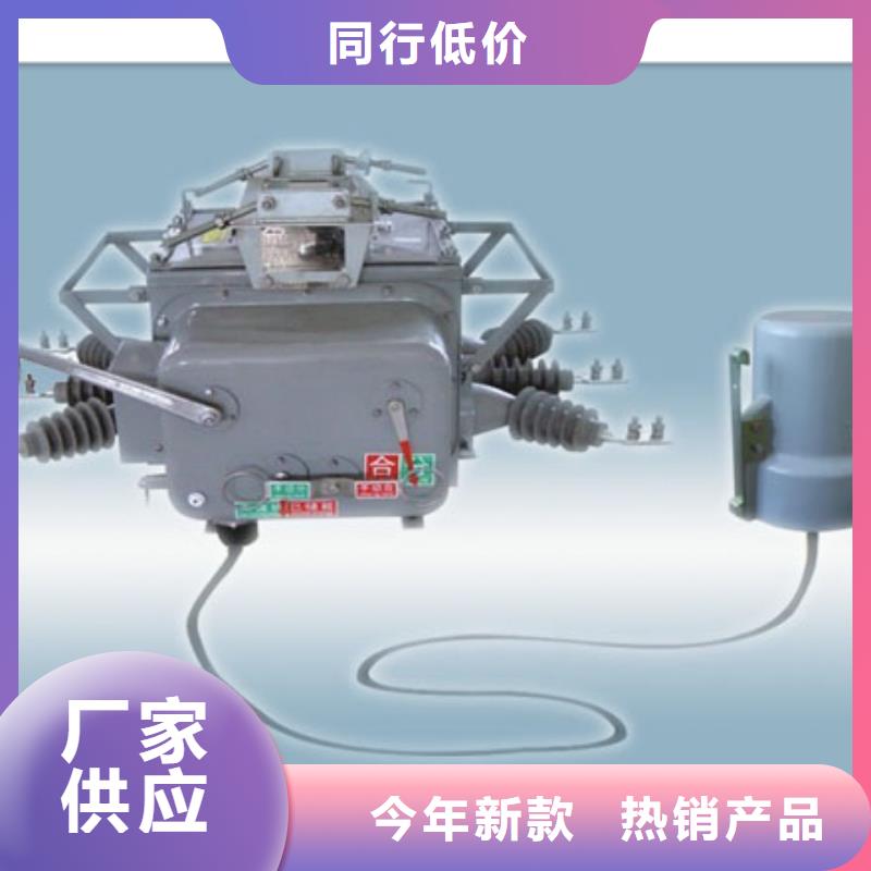 真空断路器-绝缘子现货批发