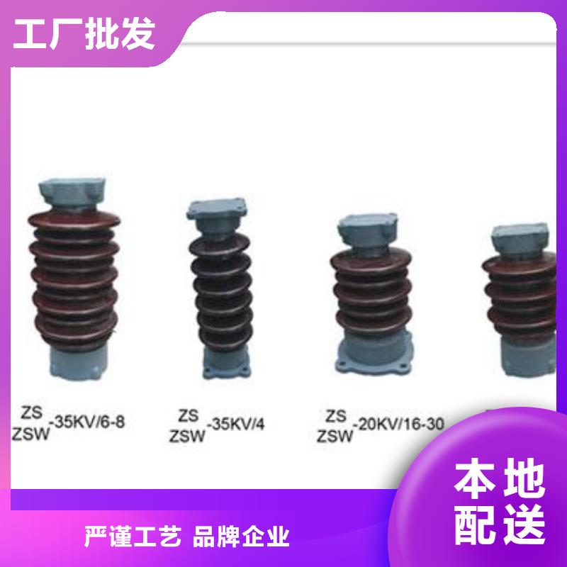 【绝缘子氧化锌避雷器供应买的放心安兴用的舒心】