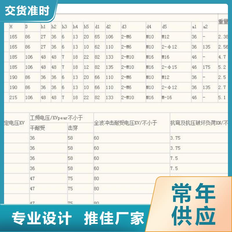 绝缘子_穿墙套管公司快速生产