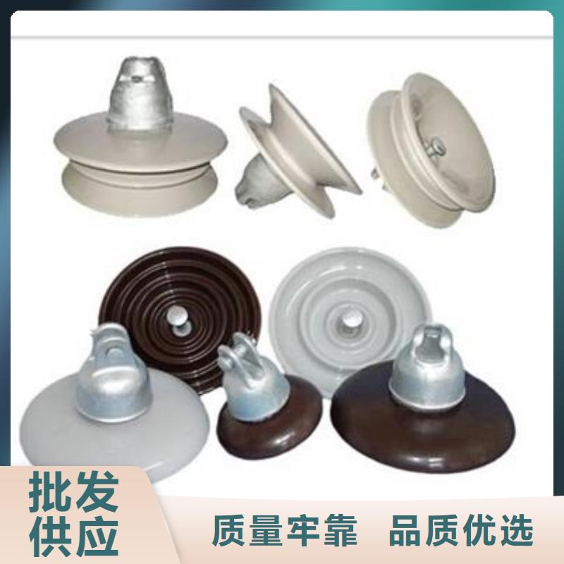 【绝缘子氧化锌避雷器供应买的放心安兴用的舒心】