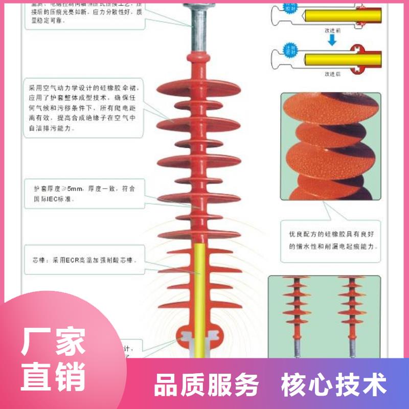 绝缘子氧化锌避雷器批发规格齐全实力厂家