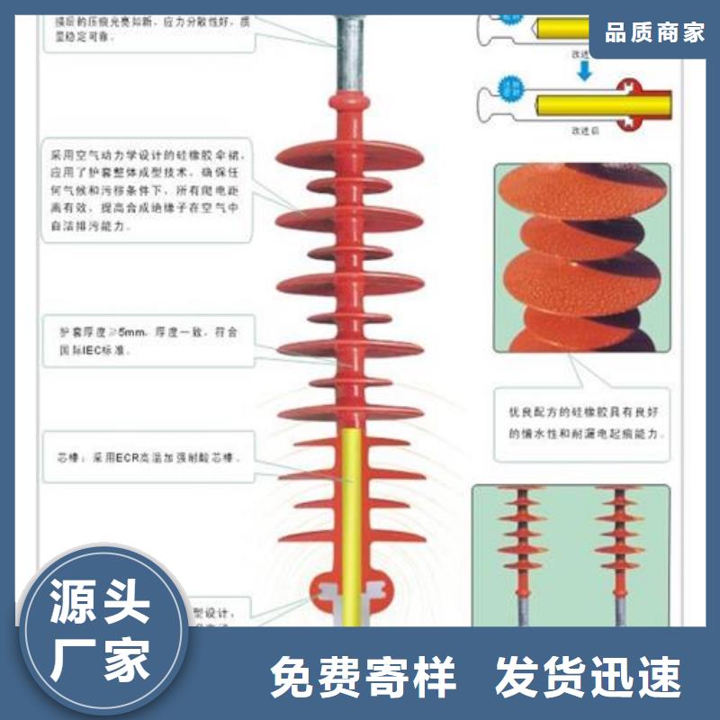 【绝缘子】【穿墙套管厂家】质优价廉