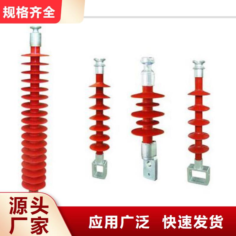 绝缘子氧化锌避雷器批发规格齐全实力厂家