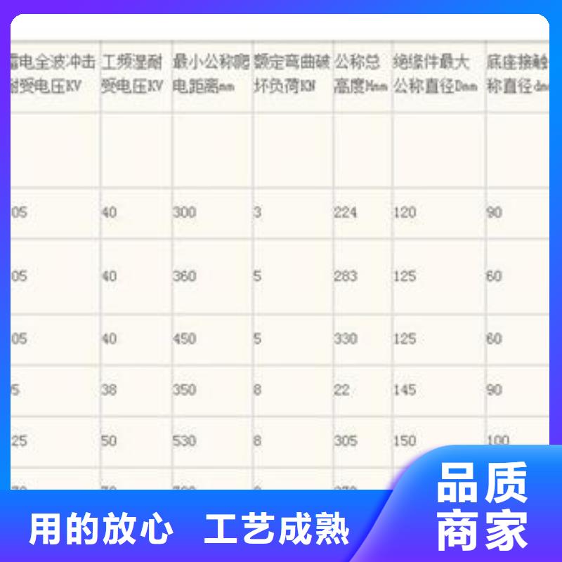 绝缘子真空断路器品质保证