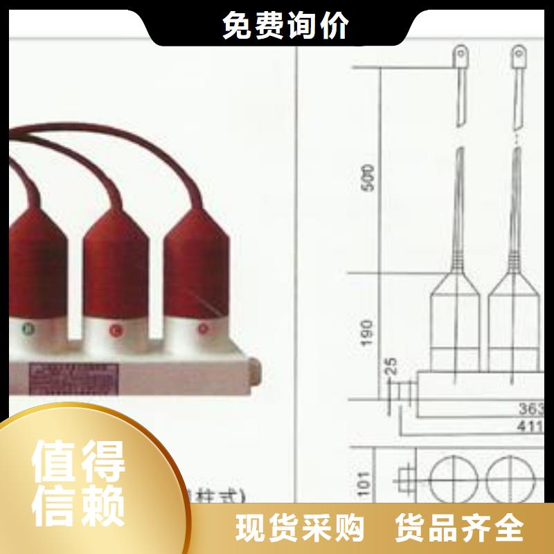 过电压保护器氧化锌避雷器质量优价格低