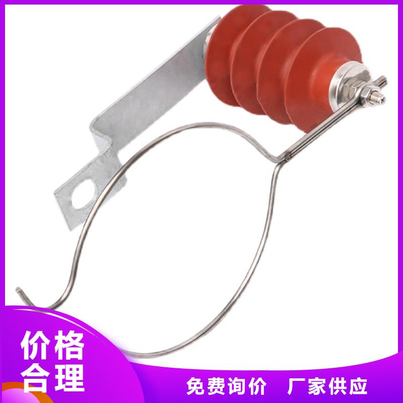 过电压保护器绝缘子自产自销