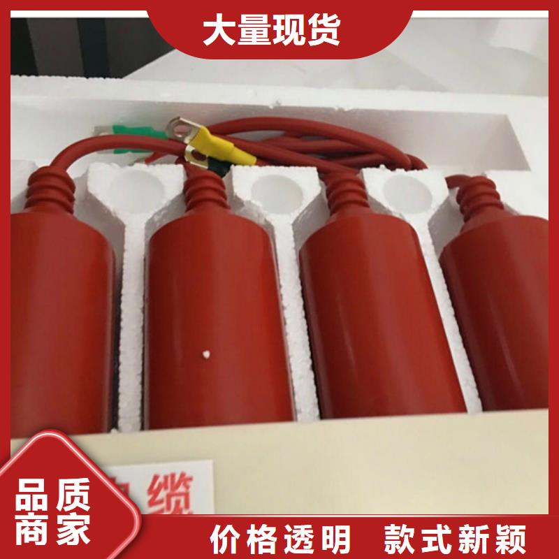 过电压保护器氧化锌避雷器质量优价格低