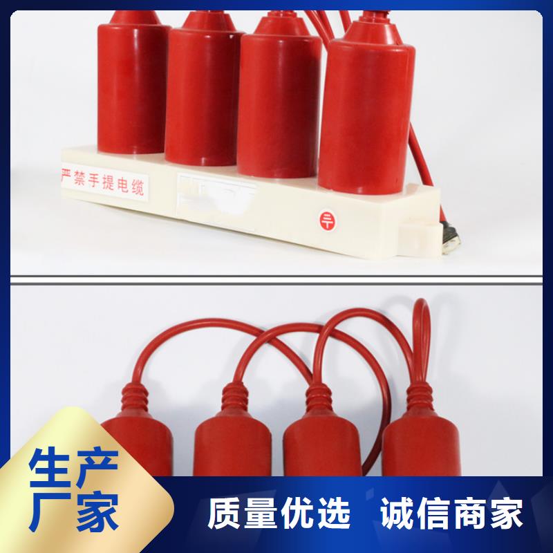 过电压保护器,跌落式熔断器生产厂家量大更优惠