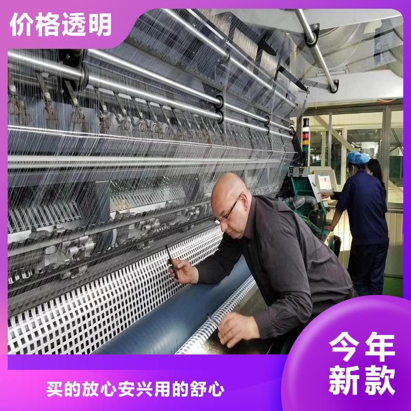 玻纤格栅高强度土工网订制批发