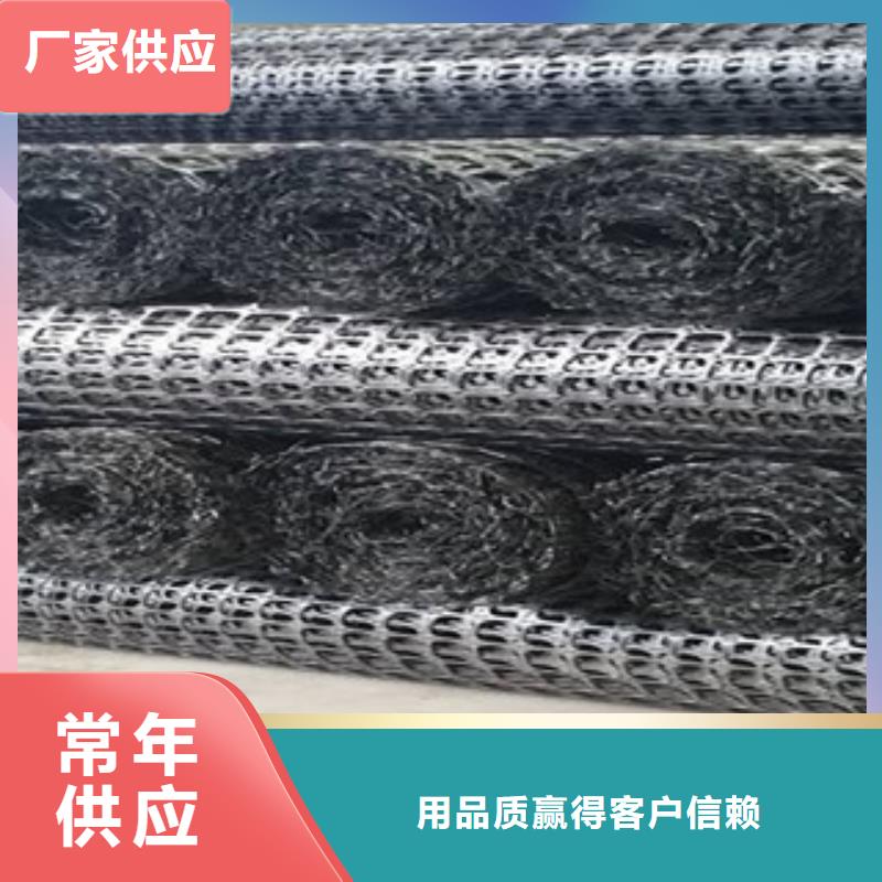 双向塑料格栅,玻纤土工格栅实力公司