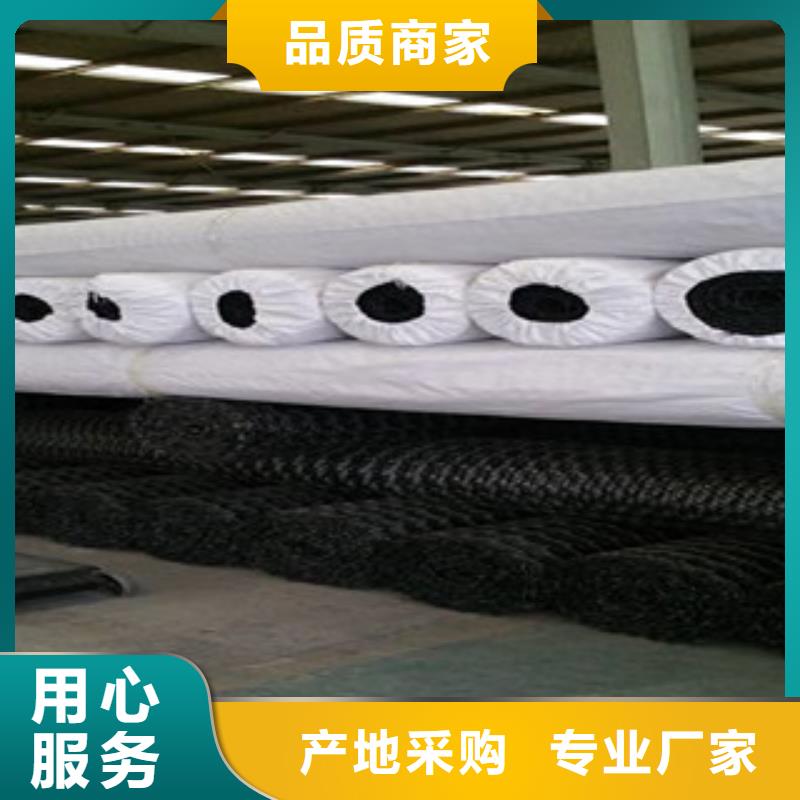 【双向塑料格栅高强度土工网货源直供】