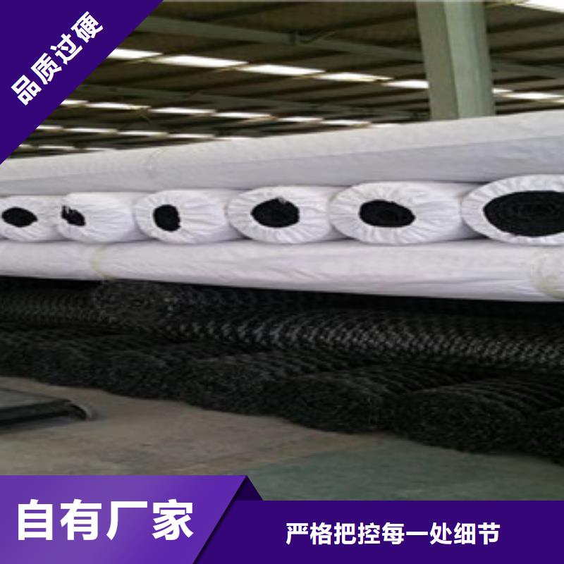 双向塑料格栅膨润土防水毯价格低