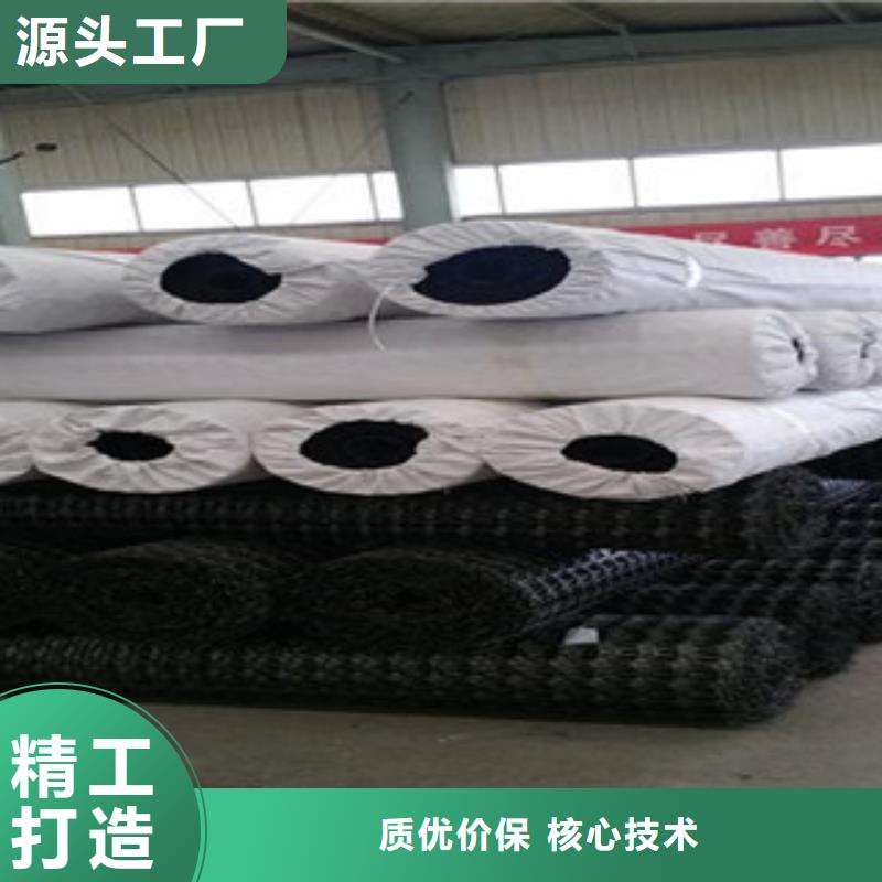 双向塑料格栅膨润土防水毯价格低