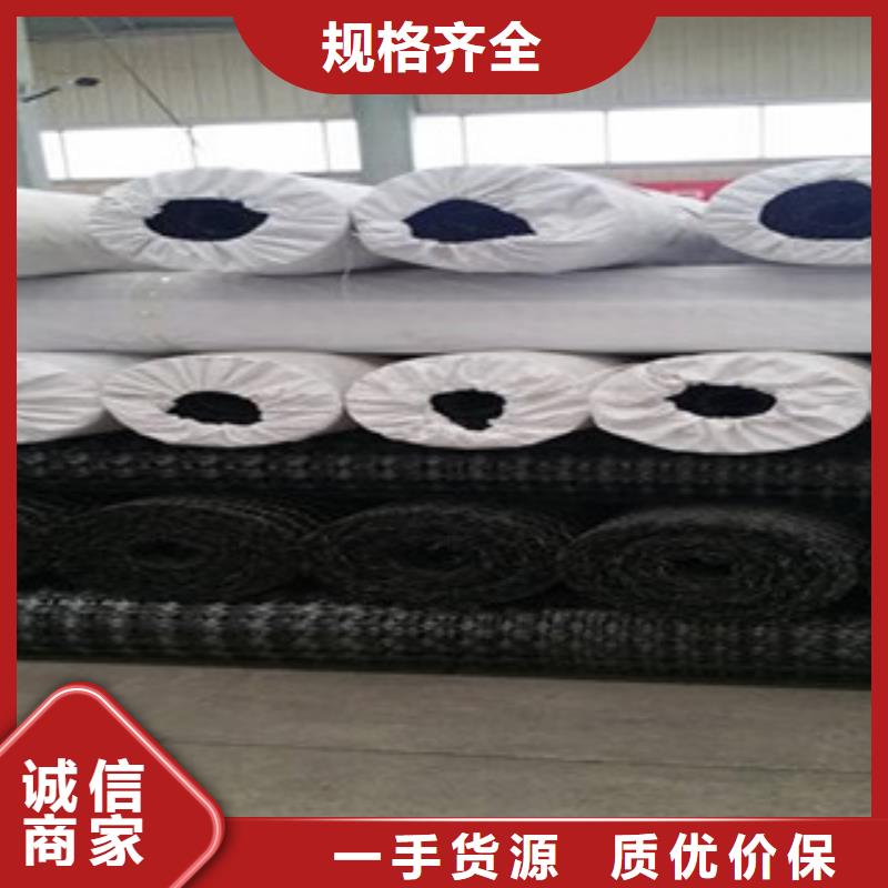 双向塑料格栅高强度土工网厂家货源稳定