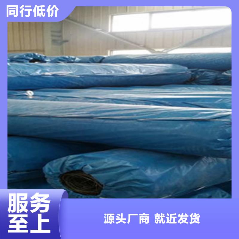 双向塑料格栅三维植被网产地工厂