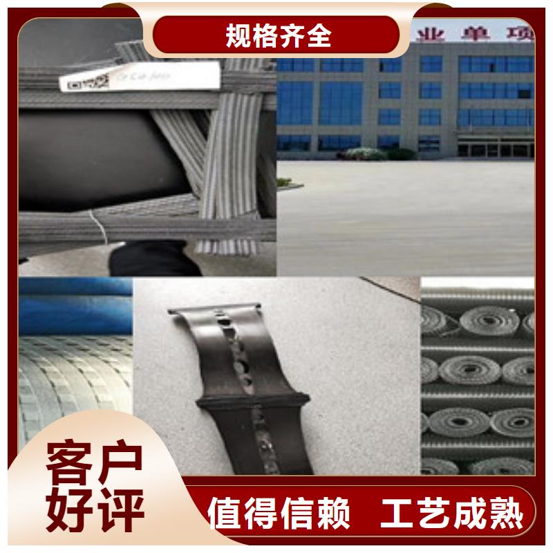 双向塑料格栅膨润土防水毯极速发货