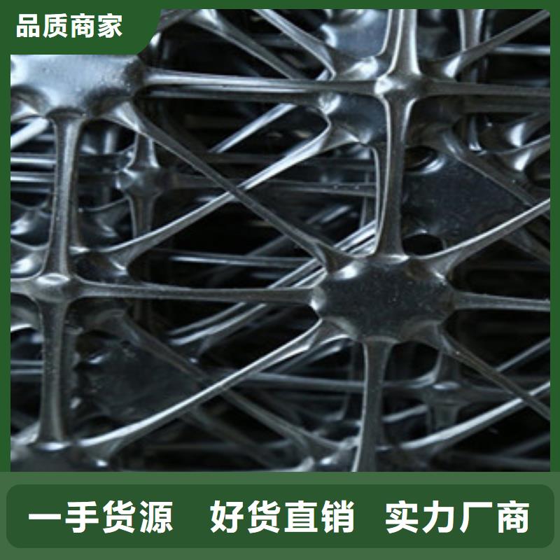 双向塑料格栅三维植被网生产型