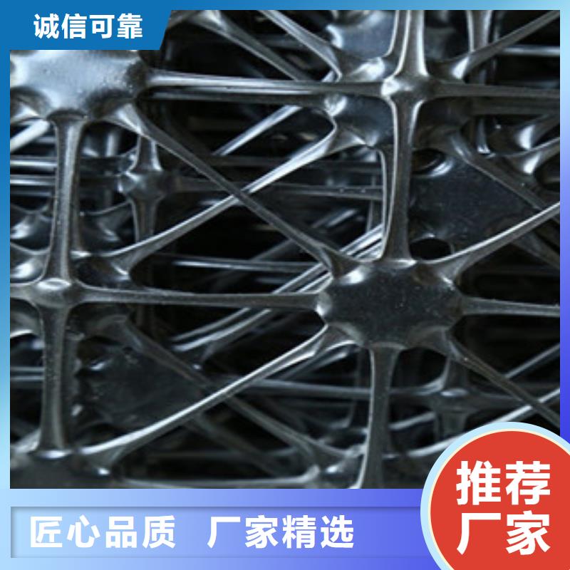双向塑料格栅,钢塑土工格栅经验丰富质量放心