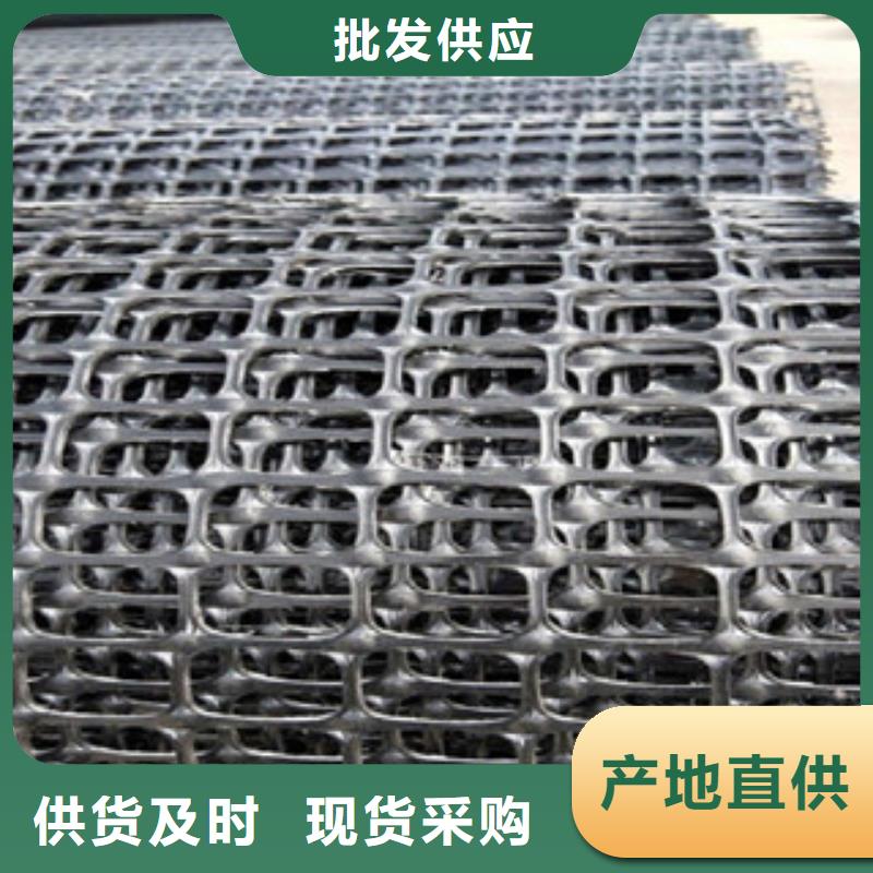 双向塑料格栅玻纤土工格栅源头工厂量大优惠
