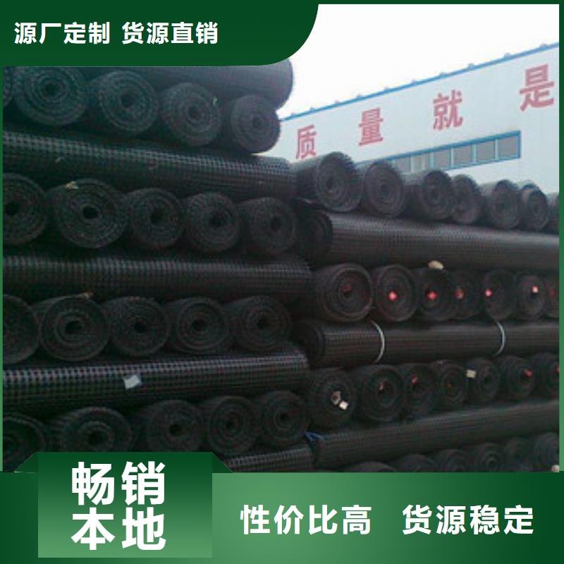 双向塑料格栅三维植被网高标准高品质