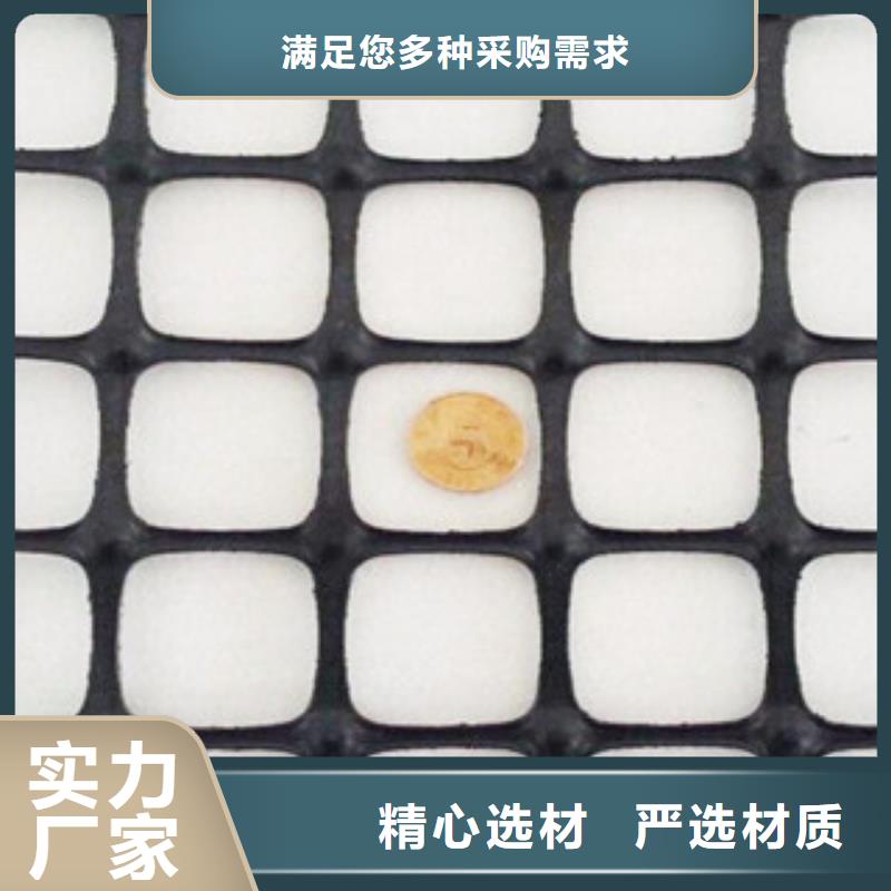 双向塑料格栅,玻纤土工格栅实力公司