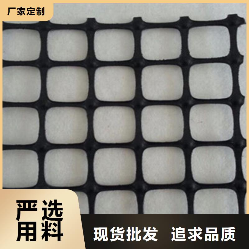 双向塑料格栅_三维植被网厂家工艺先进