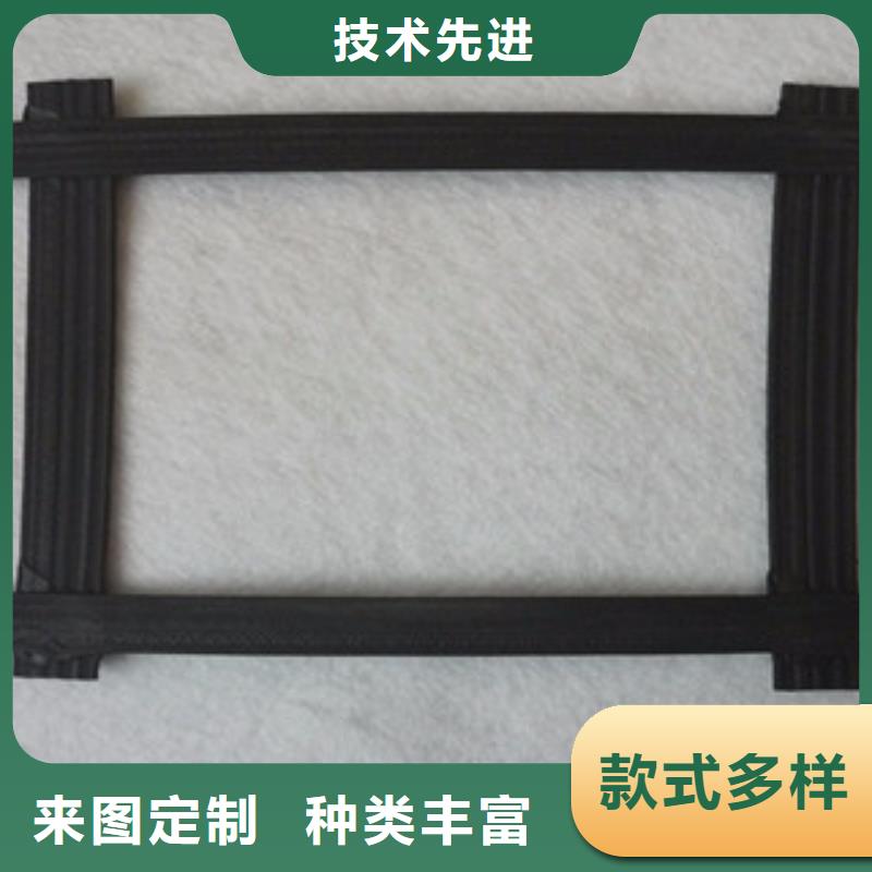 钢塑土工格栅高强度土工网大厂生产品质