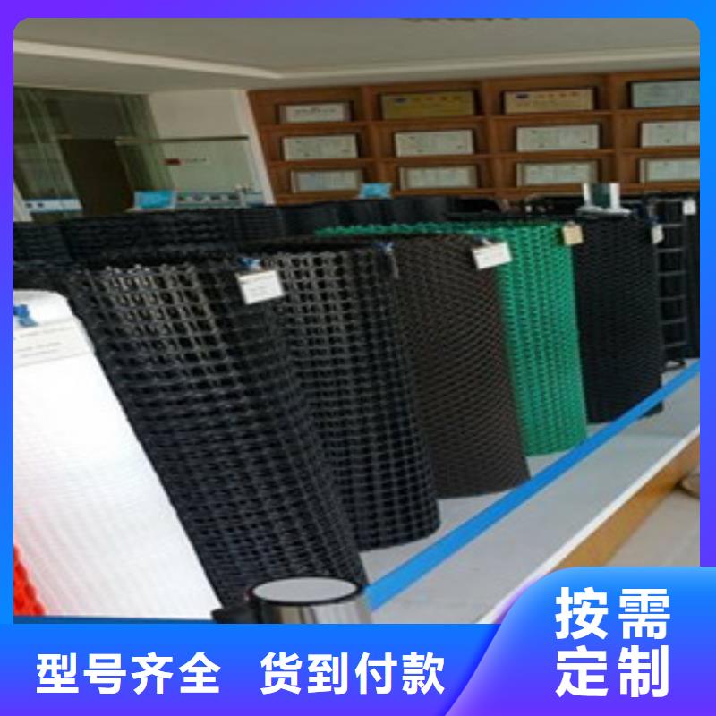 【钢塑土工格栅塑料土工格栅海量现货】