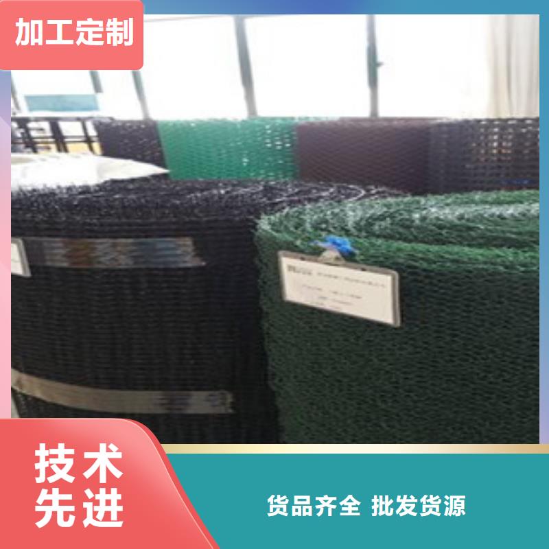 钢塑土工格栅_防裂贴抗裂贴实力厂家