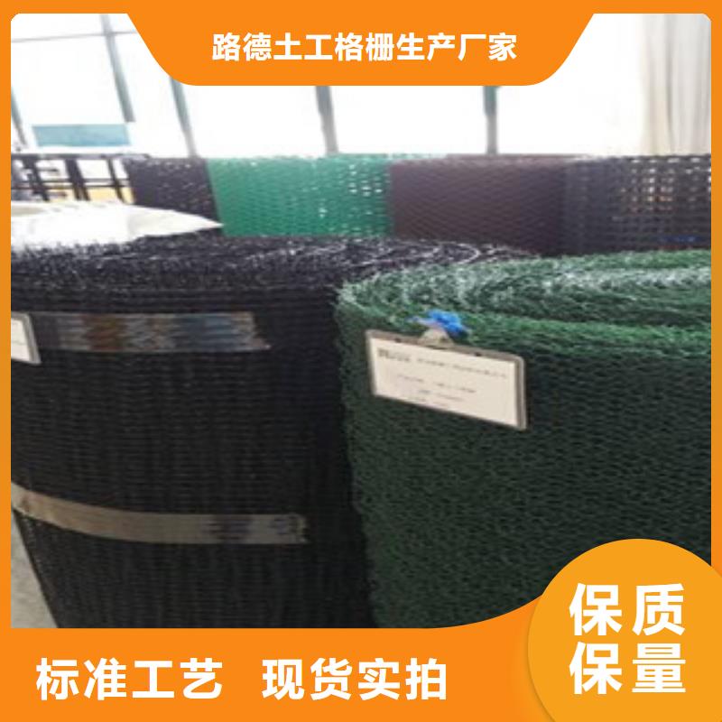 钢塑土工格栅,三维植被网厂家直销值得选择