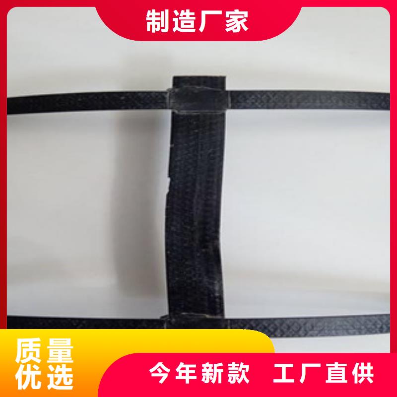 钢塑土工格栅玻纤土工格栅实体诚信经营