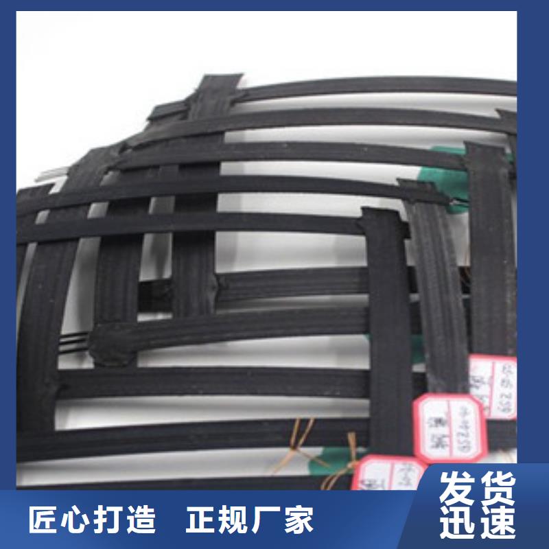 【钢塑土工格栅】三维植被网生产厂家