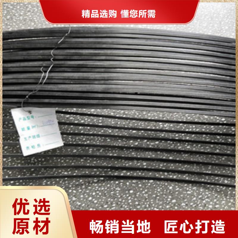 【单向塑料格栅钢塑土工格栅好品质经得住考验】