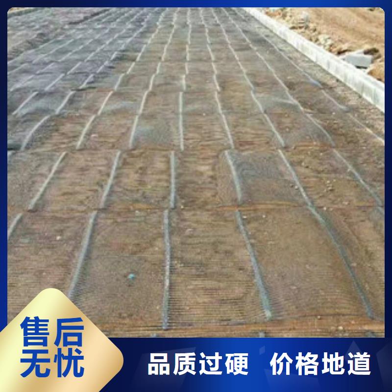 【单向塑料格栅】,膨润土防水毯源头工厂