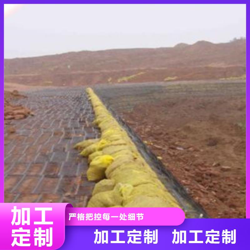 单向塑料格栅膨润土防水毯质量牢靠