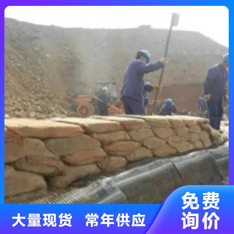 单向塑料格栅塑料土工格栅专业生产制造厂