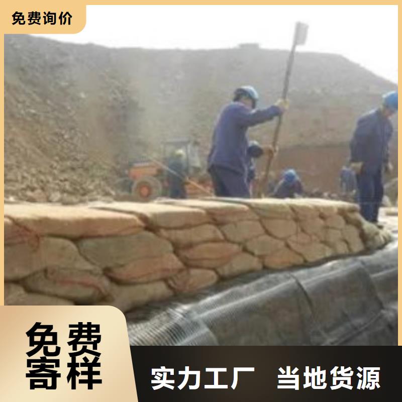 【单向塑料格栅】-玻纤土工格栅无中间商厂家直销