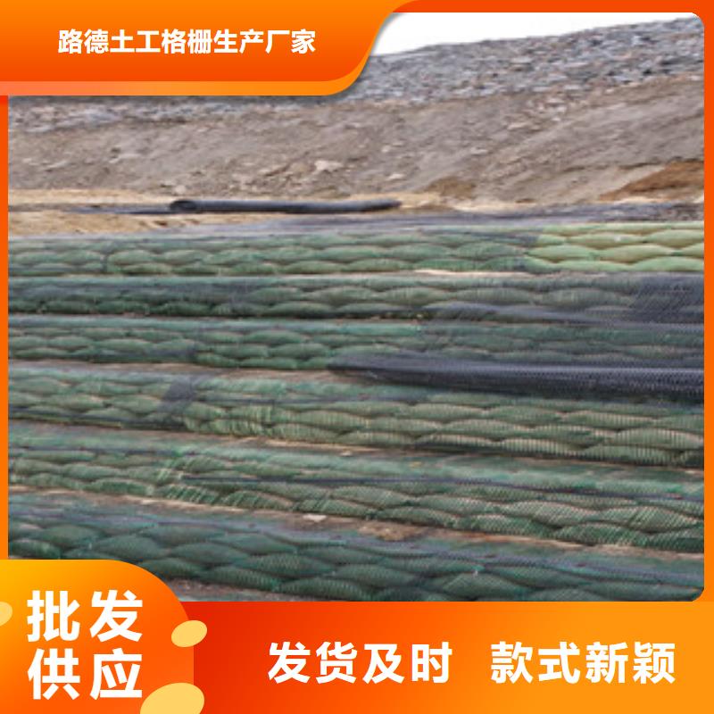 单向塑料格栅,塑料土工格栅就近发货