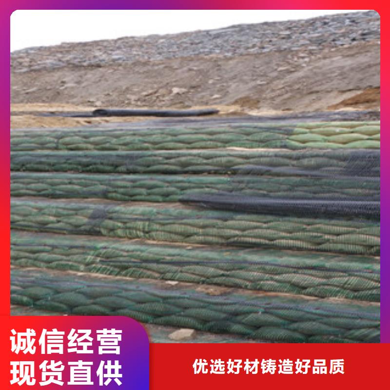 单向塑料格栅三维植被网质量无忧