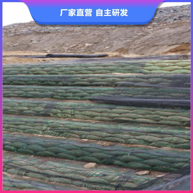 单向塑料格栅高强度土工网应用领域