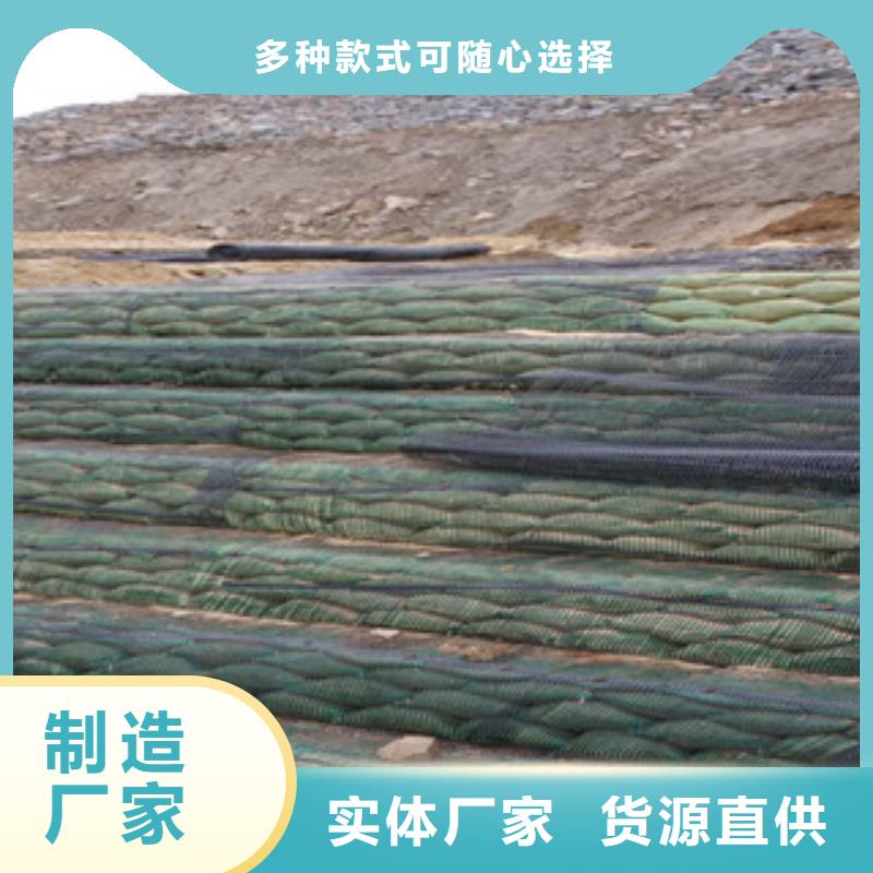 单向塑料格栅玻纤土工格栅质量牢靠