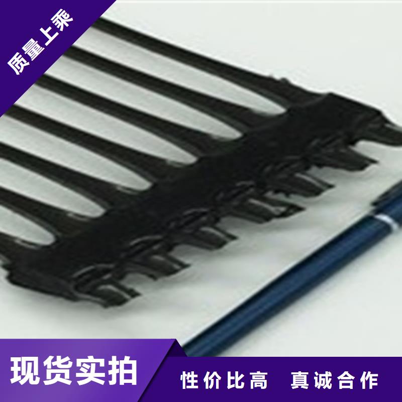 【单向塑料格栅】,膨润土防水毯源头工厂